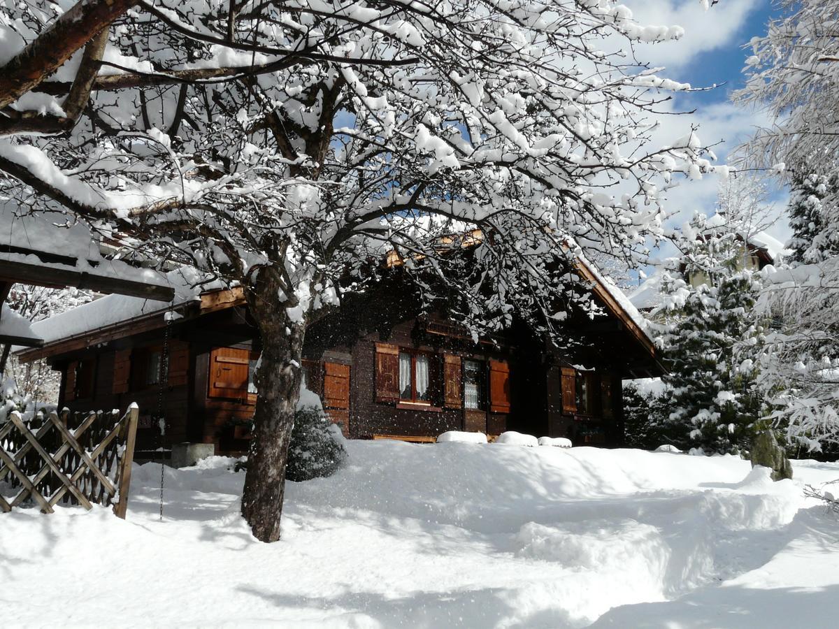Chalet Des Glaciers Chamonix Exteriör bild